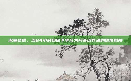 流量迷途，当24小时自助下单成为抖音创作者的隐形陷阱