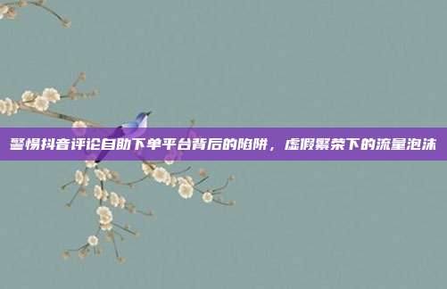 警惕抖音评论自助下单平台背后的陷阱，虚假繁荣下的流量泡沫