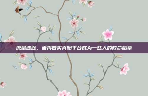 流量迷途，当抖音买真粉平台成为一些人的救命稻草