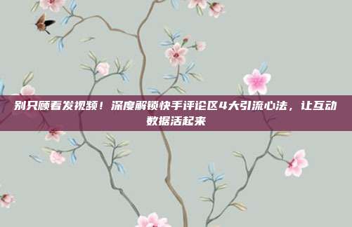 别只顾着发视频!深度解锁快手评论区4大引流心法,让互动数据活起来