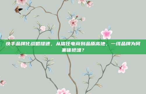 快手品牌化战略提速，从信任电商到品质高地，一线品牌为何集体抢滩？