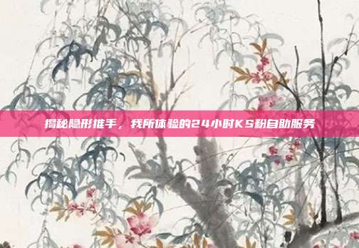 揭秘隐形推手，我所体验的24小时KS粉自助服务