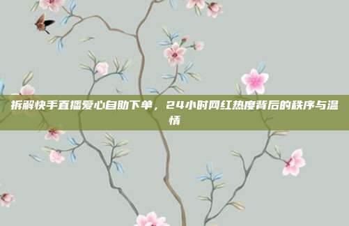 拆解快手直播爱心自助下单，24小时网红热度背后的秩序与温情