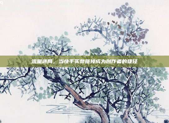 流量迷局，当快手买赞链接成为创作者的捷径