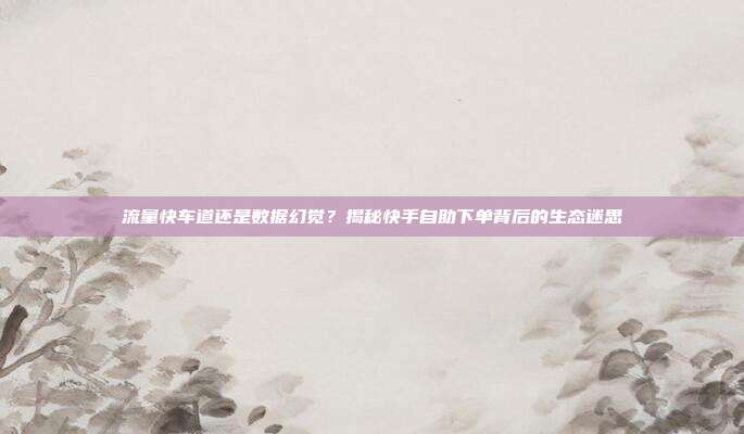 流量快车道还是数据幻觉？揭秘快手自助下单背后的生态迷思