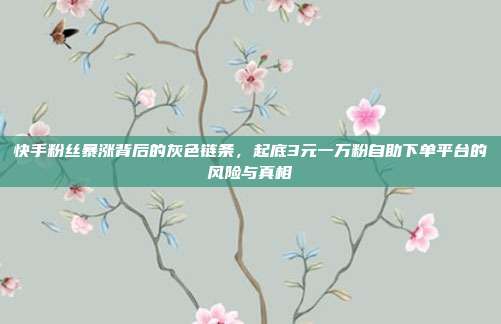 快手粉丝暴涨背后的灰色链条，起底3元一万粉自助下单平台的风险与真相