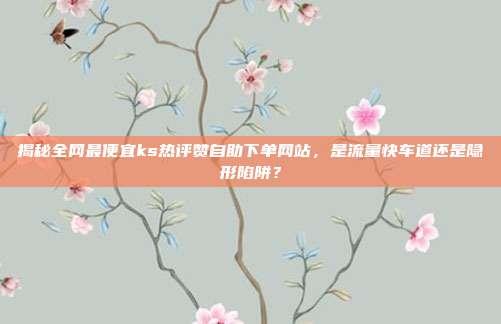 揭秘全网最便宜ks热评赞自助下单网站,是流量快车道还是隐形陷阱?
