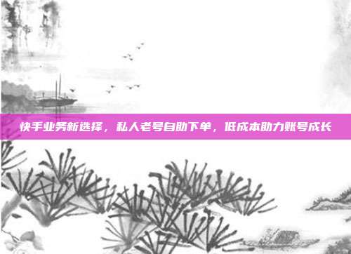 快手业务新选择,私人老号自助下单,低成本助力账号成长