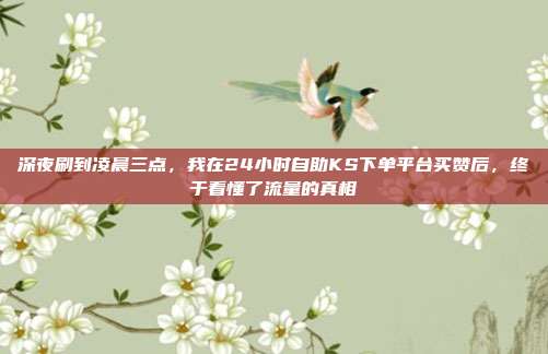 深夜刷到凌晨三点,我在24小时自助KS下单平台买赞后,终于看懂了流量的真相