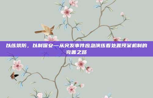 以练筑防，以制保安—从突发事件应急演练看处置预案机制的完善之路