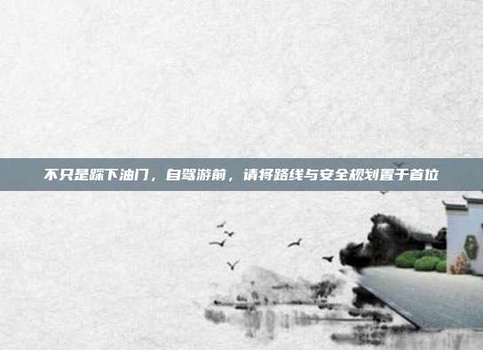 不只是踩下油门,自驾游前,请将路线与安全规划置于首位