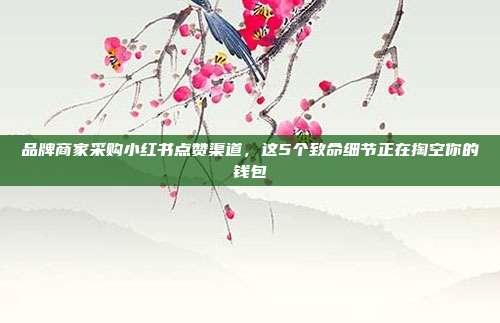 品牌商家采购小红书点赞渠道,这5个致命细节正在掏空你的钱包