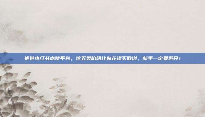 挑选小红书点赞平台，这五类陷阱让你花钱买教训，新手一定要避开！