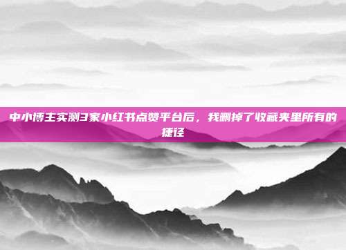 中小博主实测3家小红书点赞平台后，我删掉了收藏夹里所有的捷径