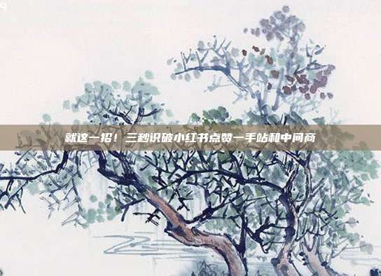 就这一招!三秒识破小红书点赞一手站和中间商