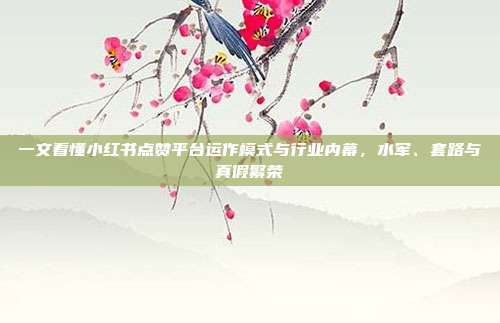 一文看懂小红书点赞平台运作模式与行业内幕，水军、套路与真假繁荣