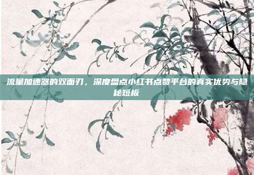 流量加速器的双面刃,深度盘点小红书点赞平台的真实优势与隐秘短板