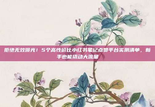 拒绝无效曝光!5个高性价比小红书笔记点赞平台实测清单,新手也能撬动大流量
