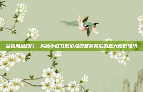 警惕流量鸦片，揭秘小红书低价点赞套餐背后的五大隐形陷阱