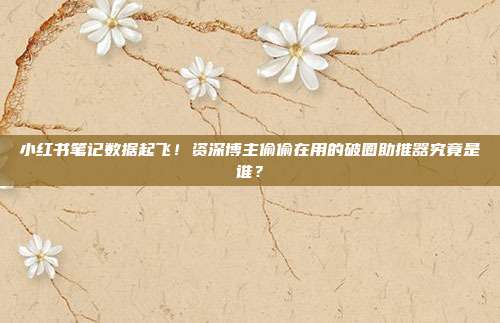 小红书笔记数据起飞!资深博主偷偷在用的破圈助推器究竟是谁?