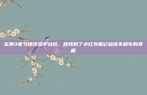 实测3家匀速涨赞平台后,我找到了小红书笔记稳流不翻车的真相
