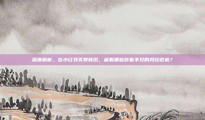 深度解析,在小红书买赞背后,藏着哪些你看不见的风控危机?