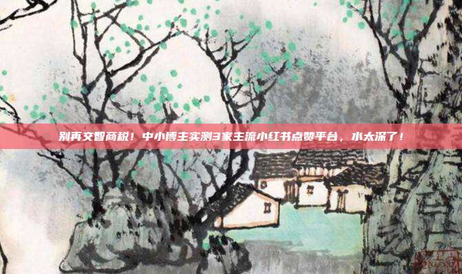别再交智商税!中小博主实测3家主流小红书点赞平台,水太深了!