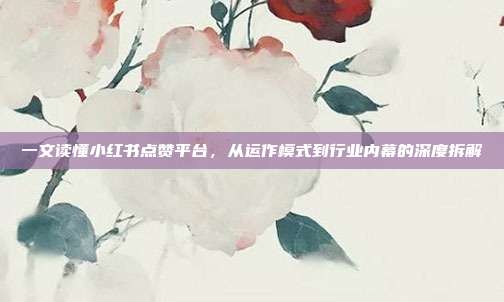 一文读懂小红书点赞平台,从运作模式到行业内幕的深度拆解