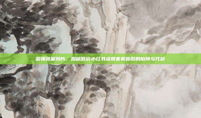 警惕流量鸦片,揭秘低价小红书点赞套餐背后的陷阱与代价