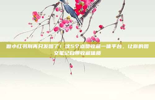 做小红书别再只发图了!这5个点赞收藏一体平台,让你的图文笔记自带收藏体质