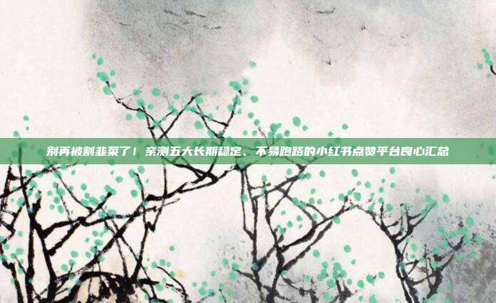 别再被割韭菜了!亲测五大长期稳定、不易跑路的小红书点赞平台良心汇总