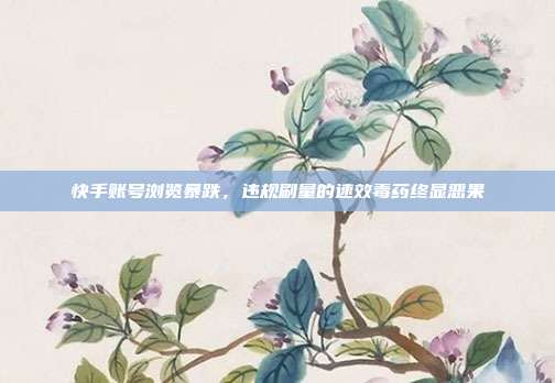 快手账号浏览暴跌，违规刷量的速效毒药终显恶果