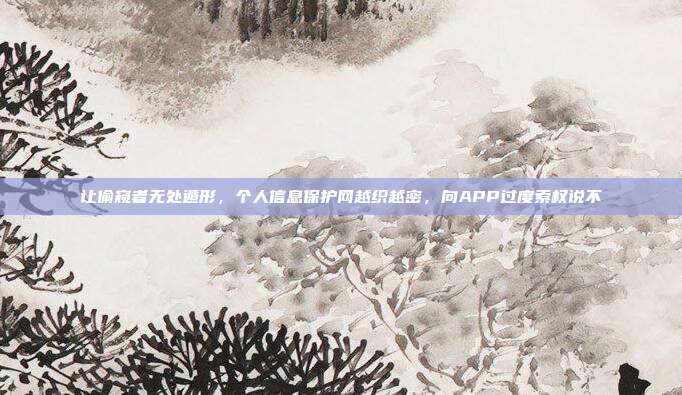 让偷窥者无处遁形,个人信息保护网越织越密,向APP过度索权说不