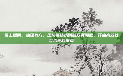 链上透明,治理有方,区块链技术赋能政务溯源,开启高效社会治理新篇章