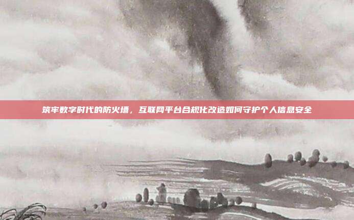 筑牢数字时代的防火墙,互联网平台合规化改造如何守护个人信息安全