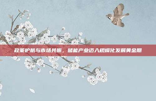 政策护航与市场共振，储能产业迈入规模化发展黄金期