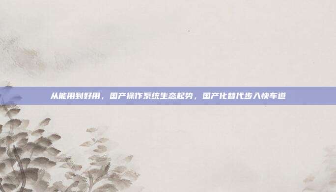 从能用到好用，国产操作系统生态起势，国产化替代步入快车道