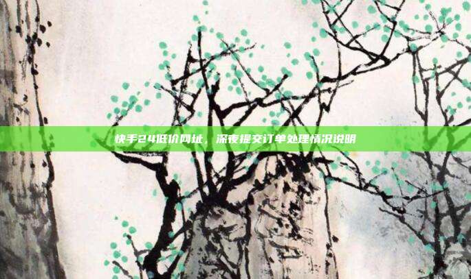 快手24低价网址，深夜提交订单处理情况说明
