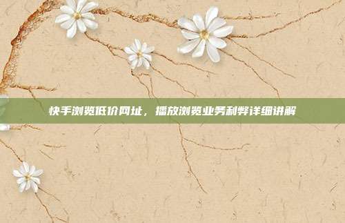 快手浏览低价网址,播放浏览业务利弊详细讲解