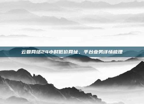 云鼎网络24小时低价网址，平台业务详情梳理