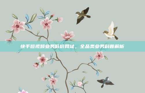 快手短视频业务低价网址,全品类业务科普解析