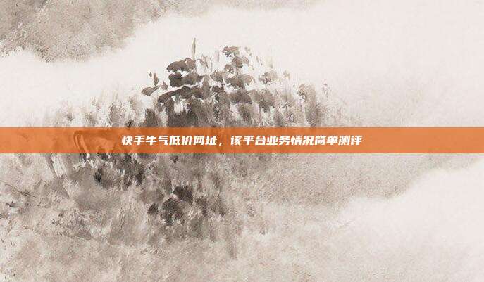 快手牛气低价网址,该平台业务情况简单测评