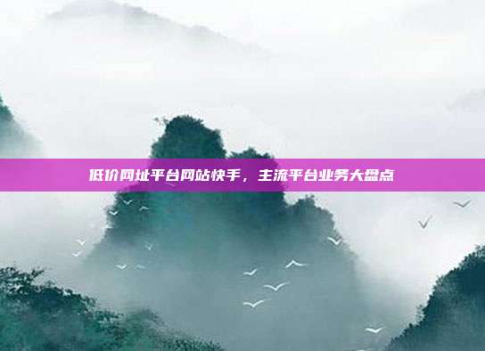 低价网址平台网站快手,主流平台业务大盘点