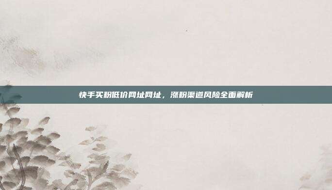 快手买粉低价网址网址,涨粉渠道风险全面解析