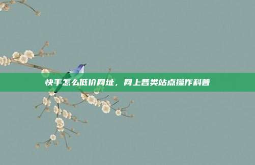 快手怎么低价网址，网上各类站点操作科普