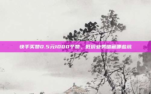 快手买赞0.5元1000个赞，低价业务暗藏哪些坑