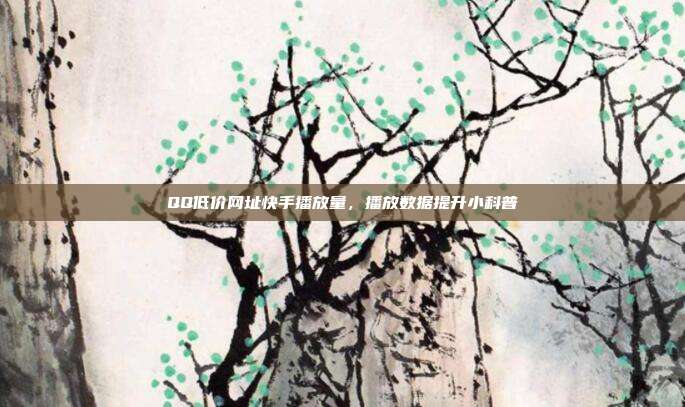 QQ低价网址快手播放量，播放数据提升小科普