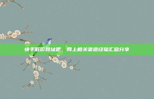 快手低价网址吧，网上相关渠道经验汇总分享