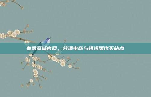有赞商城官网,分清电商与短视频代买站点