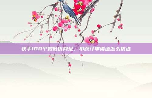 快手100个赞低价网址，小额订单渠道怎么挑选